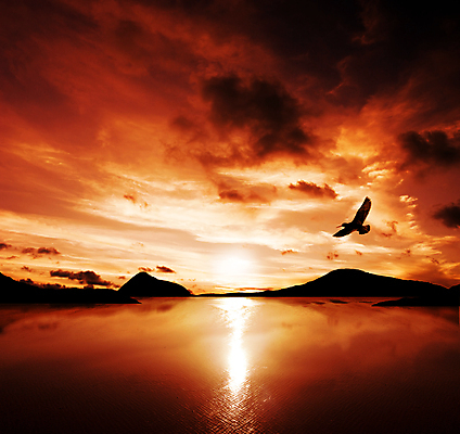 포토 JPG 해외이미지 동물 구름 바다 섬 백그라운드 자연 풍경 사람없음 야외 빛 햇빛 일출 일몰 호주 해외202004 해외202105 해외포토 자연요소 태양 노을 오세아니아 생태계 파일형식