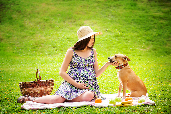 포토 JPG 해외이미지 드레스 공원 여자 행복 감정 자연 엄마 사랑 성인 태양 소풍 정원 임신 기쁨 개 복지 해외202004 해외202105 해외포토 자연요소 옷 공공시설 포유류 가족 사람 야외활동 사회이슈 생태계 파일형식
