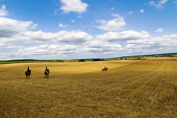 포토 JPG 해외이미지 주간 전신 구름 하늘 세마리 사람 풍경 초원 야외 세명 말_동물 승마 해외202004 해외202105 해외포토 자연요소 스포츠 포유류 3 파일형식