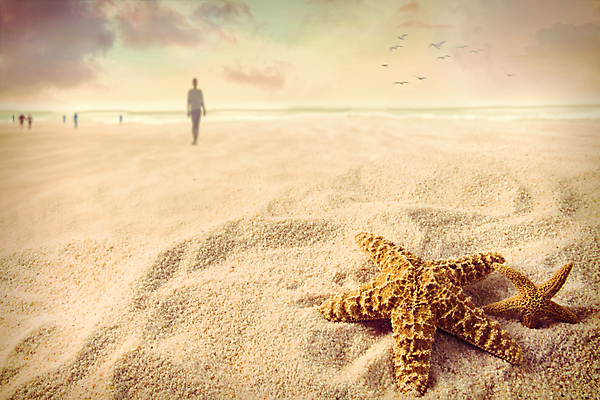 포토 JPG 해외이미지 주간 구름 모래 여행 하늘 불가사리 한명 사람 야외 뒷모습 모래사장 걷기 블러 해외202004 해외202105 해외포토 자연요소 1 바다 뷰포인트 모션 극피동물 파일형식