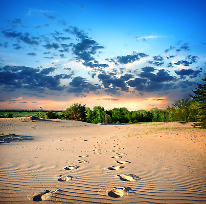 포토 JPG 해외이미지 주간 나무 구름 모래 자연 하늘 사람없음 야외 발자국 해외202004 해외202105 해외포토 자연요소 식물 자국 생태계 파일형식