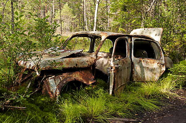 포토 JPG 해외이미지 나무 교통수단 자동차 자연 버스 스웨덴 사람없음 금속 어둠 낭만 시골 바퀴 황무지 작업실 폐기물 숲 부식 타이어 한조각 헛간 모터 고물상 그런지 변소 차고 해외202004 해외202105 해외포토 식물 1 육상교통 교통 컨셉 재질 대중교통 북유럽 쓰레기 생태계 저장고 파일형식
