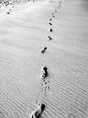포토 JPG 해외이미지 주간 모래 흑백 사람없음 야외 모래사장 발자국 해외202004 해외202105 해외포토 자연요소 바다 자국 촬영기법 파일형식