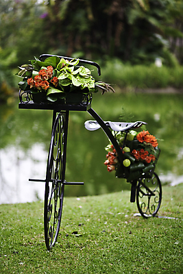 포토 JPG 해외이미지 주간 꽃 호수 한대 잔디 사람없음 야외 아웃포커스 장식 자전거 담기 해외202004 해외202105 해외포토 자연요소 식물 1 모션 촬영기법 바이크 파일형식