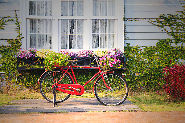 포토 JPG 해외이미지 주간 꽃 창문 주택 풍경 사람없음 야외 자전거 해외202004 해외202105 해외포토 자연요소 식물 건물 바이크 파일형식