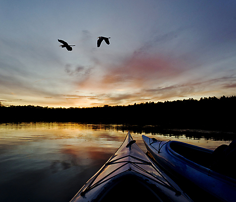 포토 JPG 해외이미지 구름 호수 두마리 자연 조류 하늘 풍경 사람없음 야외 야간 카약 해외202004 해외202105 해외포토 자연요소 동물 2 수상스포츠 생태계 파일형식