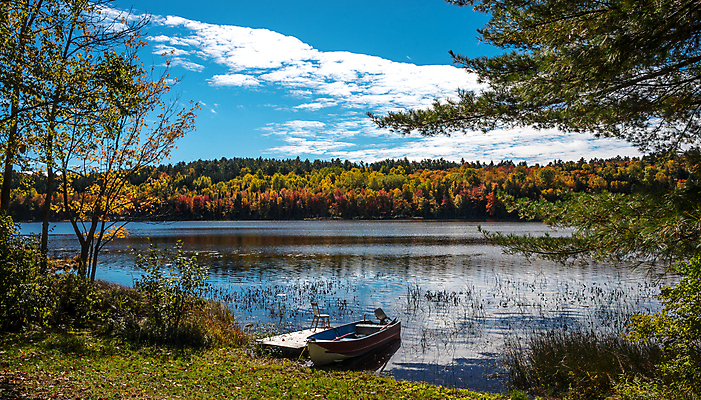 포토 JPG 해외이미지 주간 나무 구름 자연 하늘 풍경 사람없음 야외 풀 나룻배 해외202004 해외202105 해외포토 자연요소 식물 배_교통 생태계 파일형식