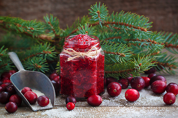 포토 JPG 해외이미지 열매 행복 음식 백그라운드 크리스마스 겨울 다이어트 과일 재료 휴가 디저트 새해 기념 건강 요리 사람없음 장식 컵 빨간색 파티 우주 어둠 에너지 추위 흰색 시골 신선 달콤 맛 잼 설탕 상쾌 레시피 전나무 요거트 내추럴 크랜베리 페스츄리 핸드메이드 맛있는 해외202004 해외202105 해외포토 나무 식물 식기 계절 기념일 감정 빵 컬러 컨셉 유제품 이벤트 소스_음식 파일형식