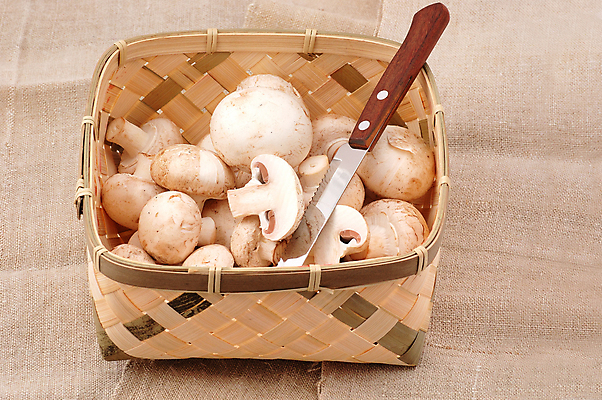 포토 JPG 해외이미지 식재료 실내 사람없음 바구니 담기 양송이 식칼 갈색배경 해외202004 해외202105 해외포토 백그라운드 모션 주방용품 내부 갈색 버섯 파일형식