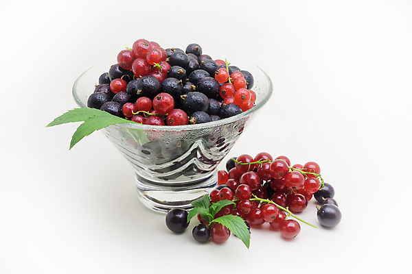 포토 JPG 해외이미지 열매 음식 다이어트 과일 유리 디저트 사람없음 빨간색 꽃병 검은색 식사 어둠 흰색 신선 달콤 작음 유기농 브런치 부드러움 건포도 고립 숙성 맛있는 해외202004 해외202105 해외포토 식물 웰빙 꽃 컬러 재질 포도 건강 감각 맛 크기 건과일 파일형식