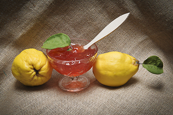 포토 JPG 해외이미지 계절 음식 백그라운드 잎 다이어트 과일 재료 자연 디저트 치즈 건강 사탕 씨앗 사람없음 초록색 노란색 가을 흰색 신선 황금 달콤 맛 사과 잼 설탕 자르기 유기농 날것 반죽 레시피 젤리 고립 마멀레이드 숙성 스페인어 채식주의자 타르트 핵심 억울 해외202004 해외202105 해외포토 식물 웰빙 감정 빵 컬러 컨셉 모션 유제품 소스_음식 생태계 채식 파이_빵 파일형식