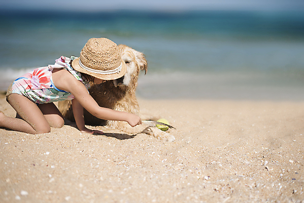 포토 JPG 해외이미지 동물 백인 라이프스타일 여자 행복 어린이 모래 바다 여행 가족 자연 놀이 휴가 함께함 사랑 사람 앉기 야외 물 반려동물 태양 우정 기쁨 흰색 아기 황금 개 리트리버 강아지 주인 해외202004 해외202105 해외포토 자연요소 서양인 감정 컬러 컨셉 포유류 관계 모션 생활 친구 생태계 파일형식