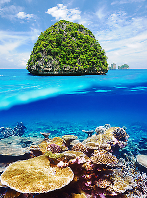 포토 JPG 해외이미지 나무 구름 모래 바다 섬 여행 태국 자연 하늘 휴가 바닥 손바닥 풍경 사람없음 야외 물 여름 파란색 수중 사막 전원 가장자리 산호 아래 태평양 암초 멀리 다리찢기 석호 무인 이국적 터키석 수평선 해외202004 해외202105 해외포토 자연요소 식물 손 계절 아시아 컬러 모션 둘레 자포동물 전기에너지 보석 방향 생태계 위치 파일형식