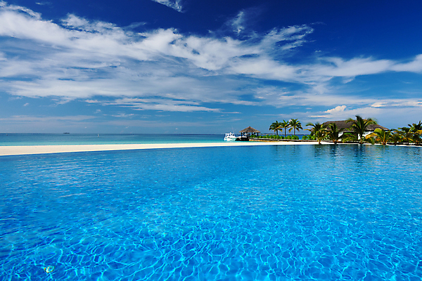 포토 JPG 해외이미지 나무 라이프스타일 바다 여행 자연 하늘 호텔 휴가 휴식 손바닥 풍경 사람없음 물 여름 파란색 침묵 전원 고급 휴양지 몰디브 이국적 해외202004 해외202105 해외포토 자연요소 식물 손 계절 아시아 컬러 컨셉 숙소 생활 소리 장소 전기에너지 생태계 파일형식