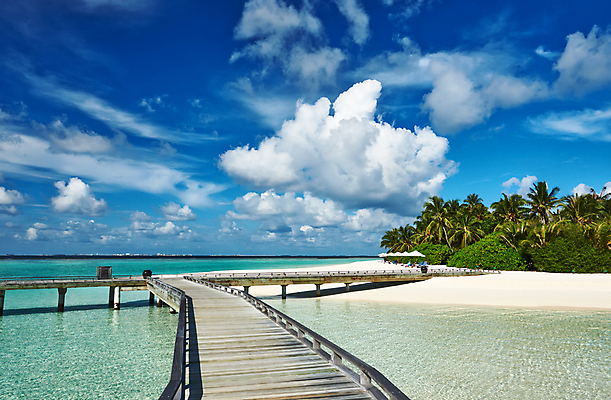 포토 JPG 해외이미지 모래 바다 섬 여행 자연 하늘 휴가 풍경 사람없음 야외 목재 물 여름 파란색 항구 전원 고급 방파제 단상 몰디브 이국적 터키석 해외202004 해외202105 해외포토 자연요소 나무 계절 공공시설 아시아 컬러 컨셉 재료 교통시설 전기에너지 보석 생태계 파일형식