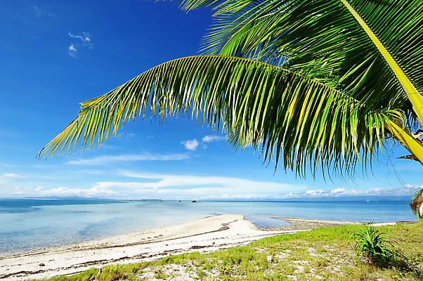 포토 JPG 해외이미지 나무 구름 모래 파도 바다 섬 여행 자연 하늘 휴가 손바닥 풍경 사람없음 야외 물 여름 파란색 전원 가장자리 태평양 멀리 터키석 수평선 해외202004 해외202105 해외포토 자연요소 식물 손 계절 컬러 둘레 전기에너지 보석 생태계 파일형식