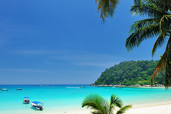 포토 JPG 해외이미지 나무 모래 바다 섬 여행 자연 하늘 휴가 풍경 사람없음 야외 물 여름 파란색 전원 태평양 말레이시아 터키석 해외202004 해외202105 해외포토 자연요소 식물 계절 아시아 컬러 전기에너지 보석 생태계 파일형식