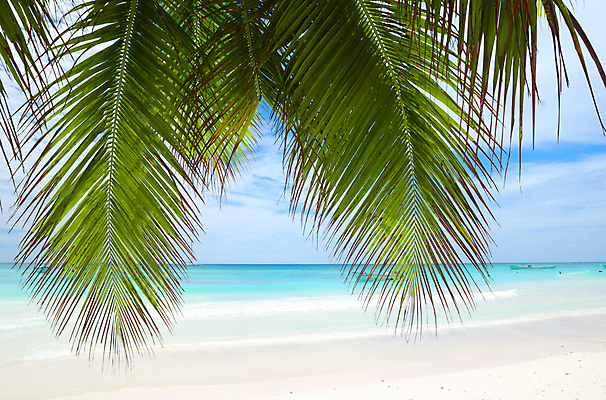 포토 JPG 해외이미지 나무 구름 모래 파도 바다 섬 여행 자연 하늘 휴가 손바닥 풍경 사람없음 야외 물 여름 파란색 전원 가장자리 대서양 도미니카공화국 터키석 수평선 해외202004 해외202105 해외포토 자연요소 식물 손 계절 컬러 남아메리카 둘레 전기에너지 보석 생태계 파일형식