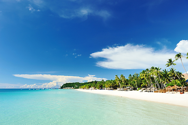 포토 JPG 해외이미지 나무 구름 모래 파도 바다 섬 여행 자연 하늘 휴가 손바닥 풍경 사람없음 야외 물 여름 파란색 전원 가장자리 태평양 보라카이 멀리 터키석 수평선 해외202004 해외202105 해외포토 자연요소 식물 손 계절 컬러 필리핀 둘레 전기에너지 보석 생태계 파일형식