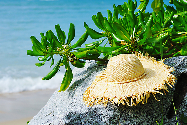 포토 JPG 해외이미지 나무 모자 모래 바다 섬 여행 태국 자연 휴가 손바닥 풍경 초원 사람없음 야외 물 여름 파란색 태양 노란색 여행객 전원 휴양지 안다만 터키석 해외202004 해외202105 해외포토 자연요소 식물 손 잡화 계절 아시아 컬러 사람 장소 전기에너지 보석 생태계 파일형식