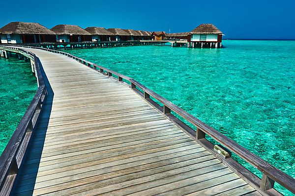 포토 JPG 해외이미지 모래 바다 섬 여행 자연 하늘 호텔 휴가 주택 풍경 사람없음 야외 목재 물 여름 파란색 항구 전원 고급 빌라 방파제 방갈로 단상 몰디브 이국적 터키석 해외202004 해외202105 해외포토 자연요소 나무 계절 공공시설 아시아 컬러 컨셉 재료 교통시설 숙소 건물 전기에너지 보석 생태계 파일형식