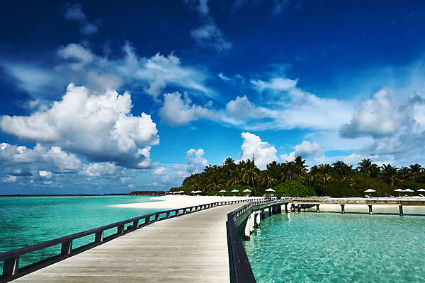 포토 JPG 해외이미지 모래 바다 섬 여행 자연 하늘 휴가 풍경 사람없음 야외 목재 물 여름 파란색 항구 전원 고급 방파제 단상 몰디브 이국적 터키석 해외202004 해외202105 해외포토 자연요소 나무 계절 공공시설 아시아 컬러 컨셉 재료 교통시설 전기에너지 보석 생태계 파일형식