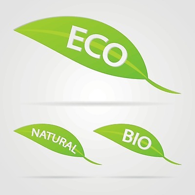 EPS 해외이미지 잎 일러스트 사람없음 초록색 에코 친환경 에코라이프 내추럴 바이오 해외202004 해외202105 해외일러스트 식물 라이프스타일 컬러 환경 파일형식 벡터