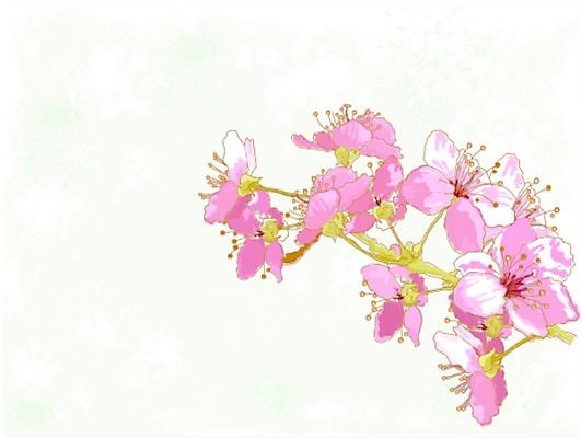 EPS 해외이미지 일러스트 수채화 사람없음 벚꽃 꽃가지 해외202004 해외202105 해외일러스트 꽃 나뭇가지 파일형식 벡터