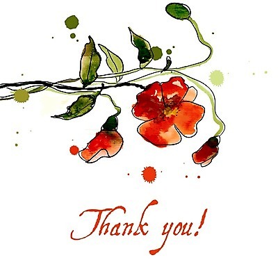 EPS 해외이미지 꽃 잎 일러스트 수채화 사람없음 양귀비 해외202004 해외202105 해외일러스트 식물 파일형식 벡터