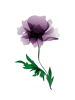 EPS 해외이미지 줄기 잎 일러스트 수채화 사람없음 작약 해외202004 해외202105 해외일러스트 식물 꽃 파일형식 벡터