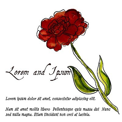 EPS 해외이미지 줄기 잎 일러스트 수채화 글자캘리그라피 사람없음 작약 해외202004 해외202105 해외일러스트 식물 꽃 캘리그라피 파일형식 벡터