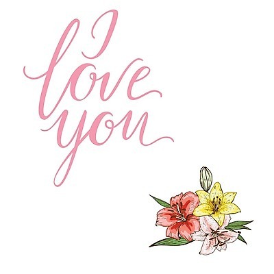 EPS 해외이미지 클립아트 꽃잎 꽃 백그라운드 꽃무늬 일러스트 수채화 사람없음 호랑이 플랫 백합 심플 레터링 해외202004 해외202105 해외일러스트 식물 무늬 포유류 파일형식 벡터