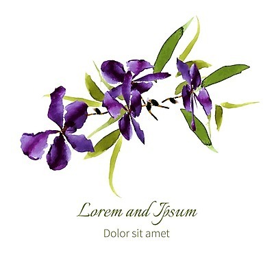 EPS 해외이미지 줄기 잎 일러스트 수채화 글자캘리그라피 사람없음 붓꽃 해외202004 해외202105 해외일러스트 식물 꽃 캘리그라피 파일형식 벡터