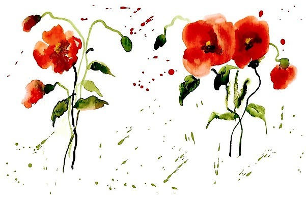 EPS 해외이미지 줄기 잎 일러스트 수채화 사람없음 꽃봉오리 양귀비 해외202004 해외202105 해외일러스트 식물 꽃 파일형식 벡터