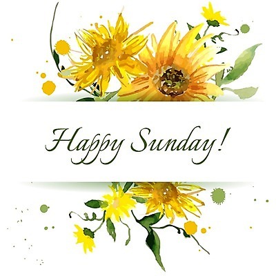 EPS 해외이미지 잎 일러스트 해바라기 수채화 글자캘리그라피 사람없음 해외202004 해외202105 해외일러스트 식물 꽃 캘리그라피 파일형식 벡터