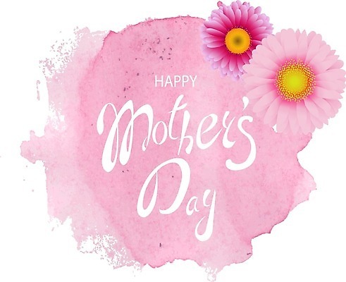 EPS 해외이미지 분홍색 일러스트 수채화 글자캘리그라피 사람없음 데이지 번짐 거베라 어머니의날 해외202004 해외202105 해외일러스트 기념일 꽃 컬러 캘리그라피 미국문화 파일형식 벡터 효과