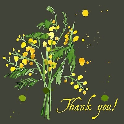 EPS 해외이미지 꽃 줄기 잎 일러스트 수채화 글자캘리그라피 사람없음 노란색 미모사 해외202004 해외202105 해외일러스트 식물 컬러 캘리그라피 파일형식 벡터