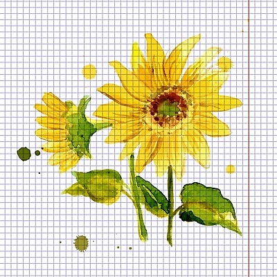 EPS 해외이미지 꽃잎 꽃 백그라운드 잎 꽃무늬 패턴 일러스트 해바라기 사람없음 컬러풀 노란색 원형 해외202004 해외202105 해외일러스트 도형 식물 컬러 무늬 파일형식 벡터