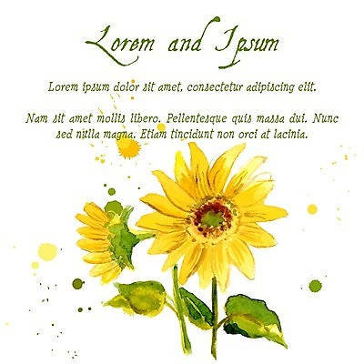 EPS 해외이미지 줄기 잎 일러스트 해바라기 수채화 글자캘리그라피 사람없음 해외202004 해외202105 해외일러스트 식물 꽃 캘리그라피 파일형식 벡터
