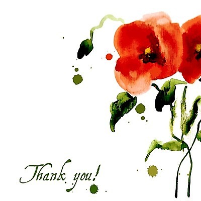 EPS 해외이미지 줄기 잎 일러스트 수채화 글자캘리그라피 사람없음 감사 양귀비 해외202004 해외202105 해외일러스트 식물 꽃 감정 캘리그라피 파일형식 벡터