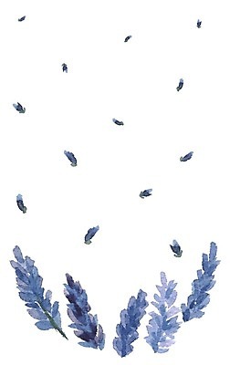 EPS 해외이미지 꽃 백그라운드 잎 꽃무늬 패턴 일러스트 수채화 초원 사람없음 스파 낭만 제비꽃 아로마 향 라벤더 해외202004 해외202105 해외일러스트 식물 컨셉 무늬 허브 파일형식 벡터