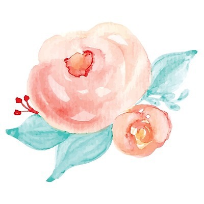 EPS 해외이미지 꽃 잎 일러스트 수채화 사람없음 해외202004 해외202105 해외일러스트 식물 파일형식 벡터