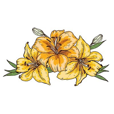 EPS 해외이미지 클립아트 꽃잎 꽃 백그라운드 잎 꽃무늬 일러스트 수채화 사람없음 노란색 오픈 호랑이 플랫 백합 심플 해외202004 해외202105 해외일러스트 식물 컬러 무늬 포유류 파일형식 벡터