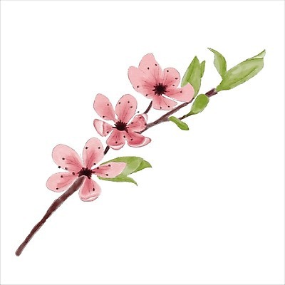 EPS 해외이미지 잎 일러스트 수채화 사람없음 벚꽃 나뭇가지 해외202004 해외202105 해외일러스트 나무 식물 꽃 파일형식 벡터