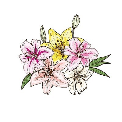 EPS 해외이미지 클립아트 꽃잎 꽃 백그라운드 잎 꽃무늬 일러스트 수채화 사람없음 오픈 호랑이 플랫 백합 심플 해외202004 해외202105 해외일러스트 식물 무늬 포유류 파일형식 벡터