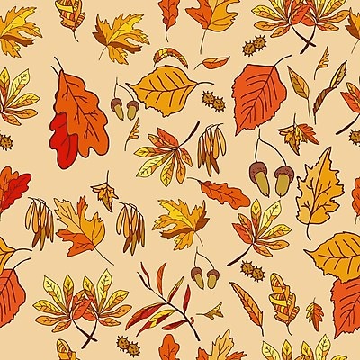 EPS 해외이미지 꽃 백그라운드 잎 꽃무늬 패턴 일러스트 사람없음 빨간색 갈색 노란색 황금 9월 11월 추수감사절 10월 효과 해외202004 해외202105 해외일러스트 식물 기독교 컬러 무늬 날짜 파일형식 벡터