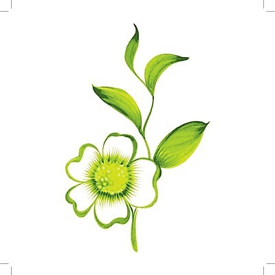 EPS 해외이미지 꽃 줄기 잎 일러스트 수채화 사람없음 해외202004 해외202105 해외일러스트 식물 파일형식 벡터