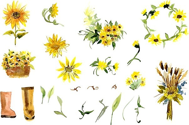 EPS 해외이미지 화분 줄기 꽃다발 잎 일러스트 해바라기 수채화 프레임 장화 사람없음 원형 해외202004 해외202105 해외일러스트 도형 식물 꽃 신발 파일형식 벡터