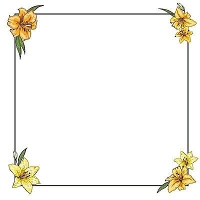 EPS 해외이미지 꽃잎 꽃 꽃무늬 일러스트 수채화 프레임 사람없음 노란색 오픈 호랑이 백합 심플 해외202004 해외202105 해외일러스트 식물 컬러 무늬 포유류 파일형식 벡터