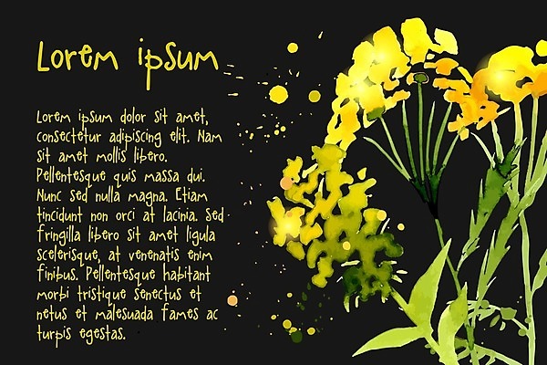 EPS 해외이미지 꽃 백그라운드 잎 꽃무늬 패턴 일러스트 캘리그라피 수채화 사람없음 국경 해외202004 해외202105 해외일러스트 레이스천 식물 무늬 직물 파일형식 벡터